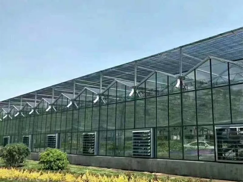 Vad gör Steel Vertical Farm till framtiden för hållbart jordbruk?